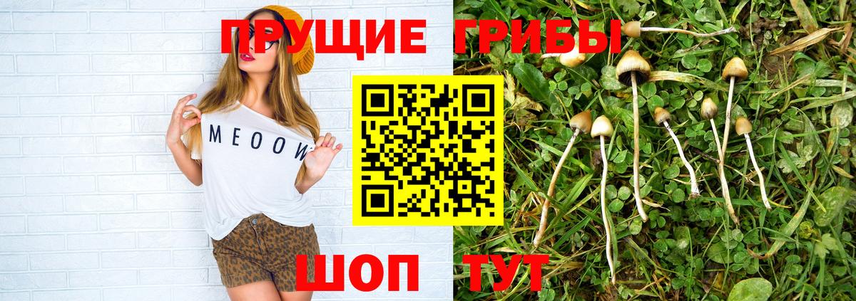 Псилоцибиновые грибы мицелий Жигулёвск