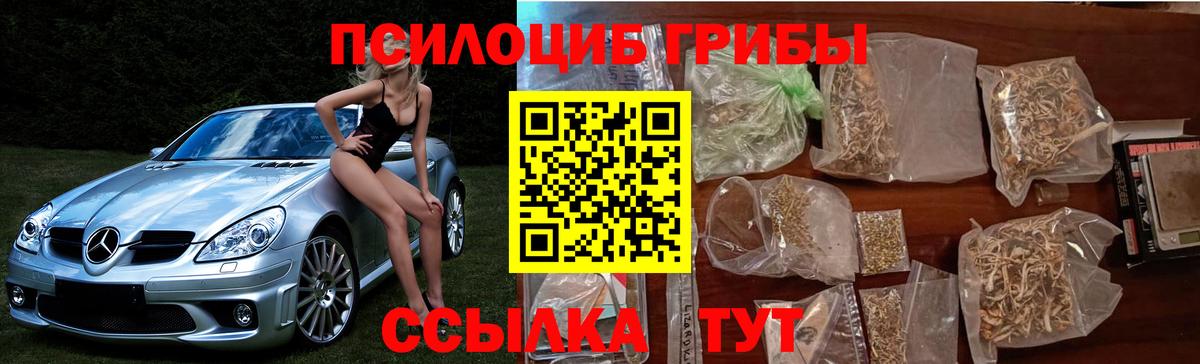Псилоцибиновые грибы мухоморы  Вход с VPN  Жигулёвск  Псилоцибиновые грибы Magic Shrooms 